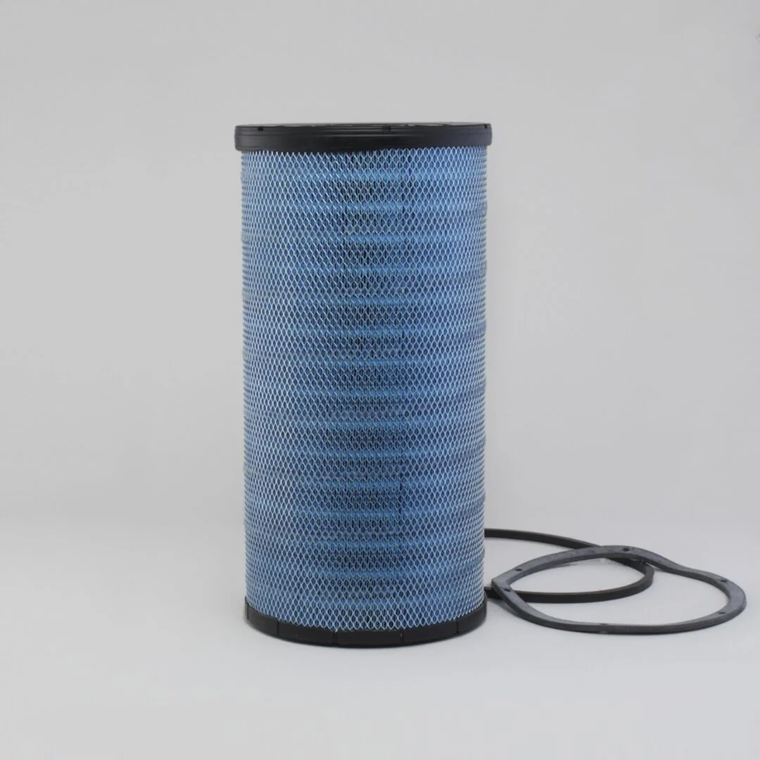 DBA5101 D/S, Air Filter, Primary Donald | Donaldson