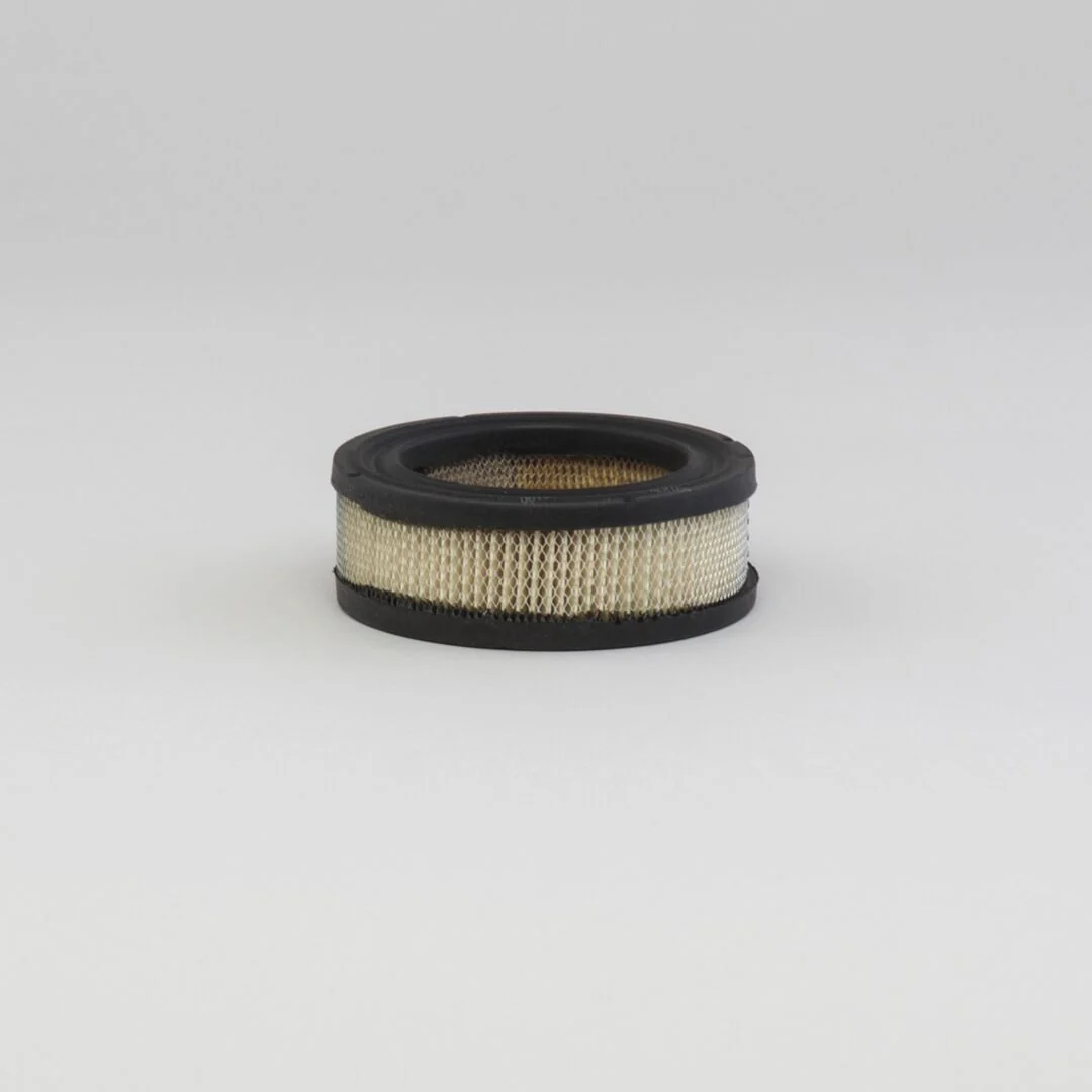 P530633 Ds, Air Prmy, Case Of 6 | Donaldson
